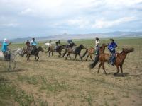 <img200*0:stuff/z/24454/Horses%2520by%2520Nyaah*/L1010217.JPG>