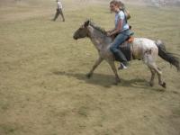 <img200*0:stuff/z/24454/Horses%2520by%2520Nyaah*/L1010221.JPG>