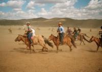 <img200*0:stuff/z/24454/Horses%2520by%2520Nyaah*/R001-015.JPG>