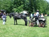 <img200*0:stuff/z/24648/Horses%2520by%2520Ricco/i1170862034_10.jpg>