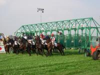 <img200*0:stuff/z/24648/Horses%2520by%2520Ricco/i1170862034_6.jpg>