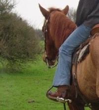 <img200*0:stuff/z/24648/Horses%2520by%2520Ricco/i1170862035_14.jpg>