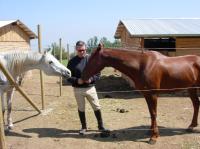 <img200*0:stuff/z/24648/Horses%2520by%2520Ricco/i1170862035_17.jpg>