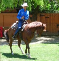 <img200*0:stuff/z/24648/Horses%2520by%2520Ricco/i1170862035_30.jpg>