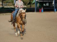 <img200*0:stuff/z/24648/Horses%2520by%2520Ricco/i1170862035_34.jpg>