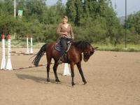 <img200*0:stuff/z/24648/Horses%2520by%2520Ricco/i1170862035_39.jpg>