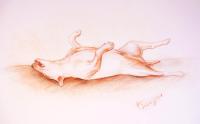 <img200*0:stuff/z/24725/Mithotyn%2520pics3/i1187253693_15.jpg>