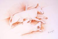 <img200*0:stuff/z/24725/Mithotyn%2520pics3/i1187253693_7.jpg>