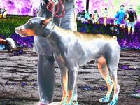 <img200*0:stuff/z/24725/New%2520seson%2520pics%253d)/i1183364028_10.jpg>