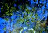<img100*0:stuff/z/24832/K%2520Sky/i1291641664_32.jpg>