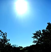 <img200*0:stuff/z/24832/K%2520Sky/i1291641664_33.jpg>