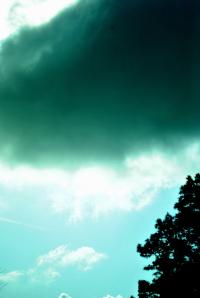<img200*0:stuff/z/24832/K%2520Sky/i1291641664_34.jpg>