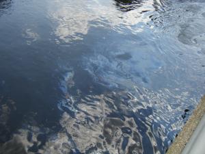<img300*0:stuff/z/25313/Oil%2520Spill/DSCF9012.JPG>