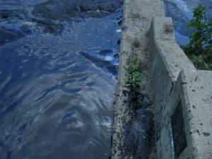 <img300*0:stuff/z/25313/Oil%2520Spill/DSCF9015.JPG>