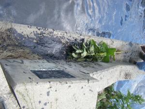 <img300*0:stuff/z/25313/Oil%2520Spill/DSCF9017.JPG>
