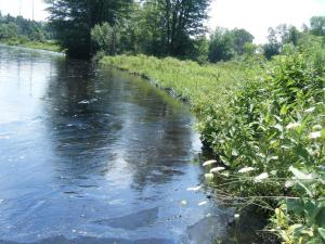 <img300*0:stuff/z/25313/Oil%2520Spill/DSCF9021.JPG>