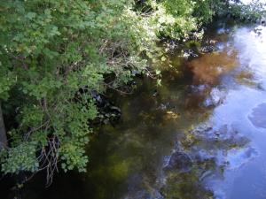 <img300*0:stuff/z/25313/Oil%2520Spill/DSCF9022.JPG>