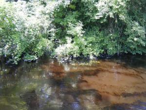 <img300*0:stuff/z/25313/Oil%2520Spill/DSCF9028.JPG>