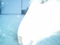 <img200*0:stuff/z/26215/Horses%2520by%2520Tanka/i1169499986_7.jpg>