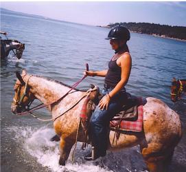 <img0*250:stuff/z/291/HorsesByAnna/waterhorse2.jpg>