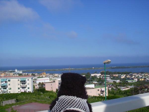 <img600*0:stuff/z/31052/Molinooo%2520%253A3/05150001.JPG>