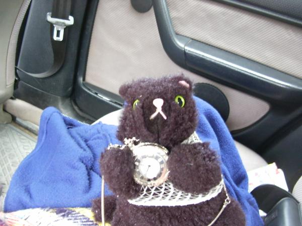 <img600*0:stuff/z/31052/Molinooo%2520%253A3/05190001.JPG>