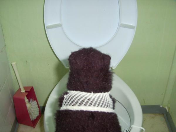 <img600*0:stuff/z/31052/Molinooo%2520%253A3/09030002.jpg>