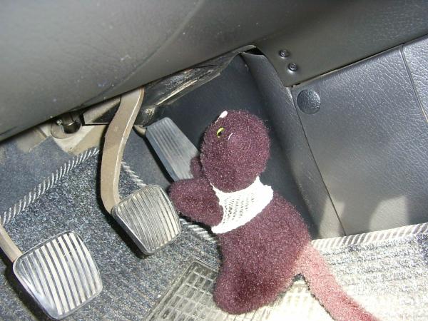 <img600*0:stuff/z/31052/Molinooo%2520%253A3/09030013.jpg>