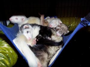 <img300*0:stuff/z/3463/ghostville/i1220157996_8.jpg>