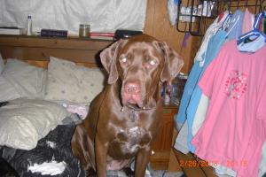 <img300*0:stuff/z/3463/ghostyville/i1220161577_1.jpg>