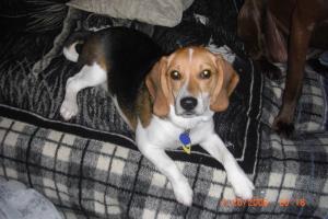 <img300*0:stuff/z/3463/ghostyville/i1220161578_2.jpg>