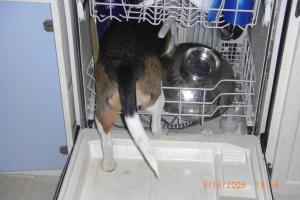 <img300*0:stuff/z/3463/ghostyville/i1220161578_5.jpg>