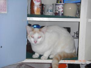 <img300*0:stuff/z/3463/ghostyville/i1220161578_9.jpg>
