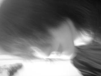 <img0*250:stuff/z/35739/Law%2520and%2520Chaos%2520photoshoot%25202/DSC00048.JPG>