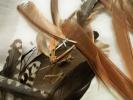 <img0*100:stuff/z/39710/feathers%2520by%2520hanhepi/feather%20pile2.JPG>