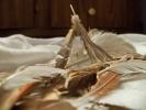 <img0*100:stuff/z/39710/feathers%2520by%2520hanhepi/feather%20pile4.JPG>