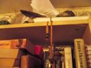 <img0*100:stuff/z/39710/feathers%2520by%2520hanhepi/feather%20scroll%20on%20shelf.JPG>