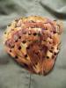 <img0*100:stuff/z/39710/feathers%2520by%2520hanhepi/pheasant%20pad.JPG>