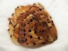 <img0*100:stuff/z/39710/feathers%2520by%2520hanhepi/pheasant%20pad2.JPG>