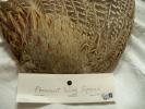 <img0*100:stuff/z/39710/feathers%2520by%2520hanhepi/pheasant%20wing.JPG>