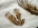 <img0*100:stuff/z/39710/feathers%2520by%2520hanhepi/rump%20plumage.JPG>