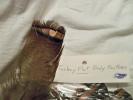 <img0*100:stuff/z/39710/feathers%2520by%2520hanhepi/turkey%20body5.JPG>
