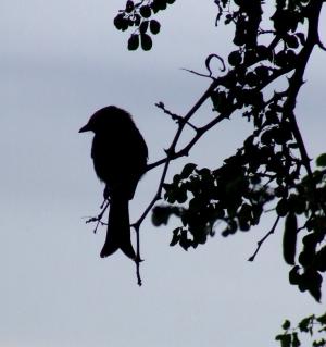 <img300*0:stuff/z/40324/SS_Vacation_2008/Photo%20T%20014.jpg>