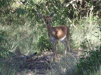 <img200*0:http://elftown.heddate.com/stuff/z/40324/Vacation%2520Photos%2520TK/Photo%20065.jpg>