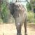 <img50*50:stuff/z/40324/Vacation%2520Photos%2520TK/Photo%20097.jpg>