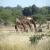 <img50*50:stuff/z/40324/Vacation%2520Photos%2520TK/Photo%20113.jpg>