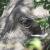 <img50*50:stuff/z/40324/Vacation%2520Photos%2520TK/Photo%20325.jpg>