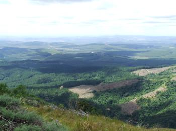 <img:http://elftown.heddate.com/stuff/z/40324/Vacation%2520Photos%2520TK/Photo%20352.jpg?y=0&x=350>