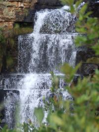 <img200*0:http://elftown.heddate.com/stuff/z/40324/Vacation%2520Photos%2520TK/Photo%20752.jpg>
