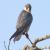 <img50*50:stuff/z/40324/Vacation%2520Photos%2520TK/Photo%20835.jpg>